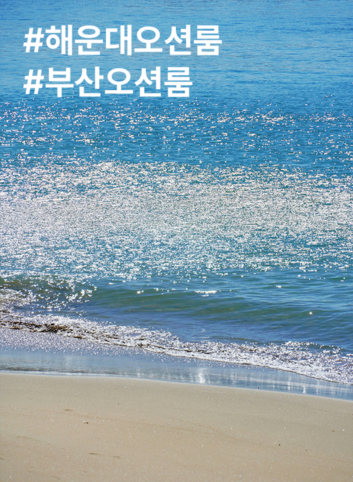 해운대오션